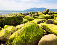 Ireland